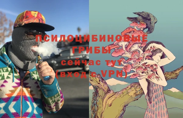 первитин Бородино