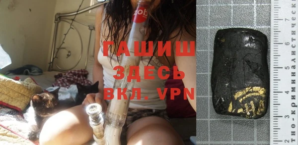 индика Верхний Тагил